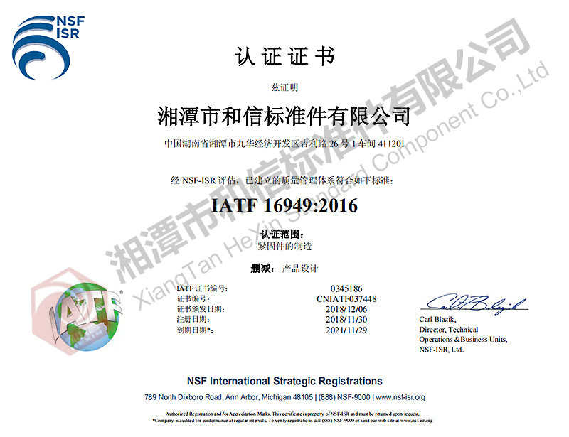 公司質量管理體系:IATF16949：2016標準（中文）